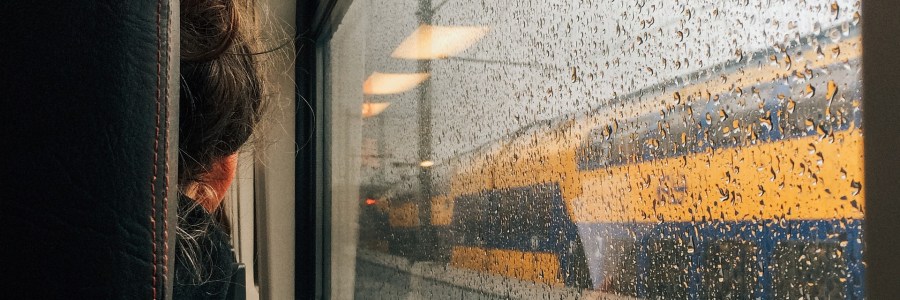 Der-neue-Stefan-Sitznachbarn