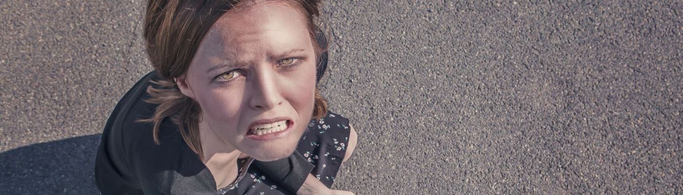 Der neue Stefan und das Internet