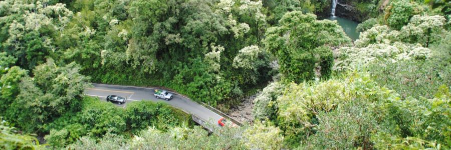 Der neue Stefan auf der Road to Hana auf Maui, Hawaii