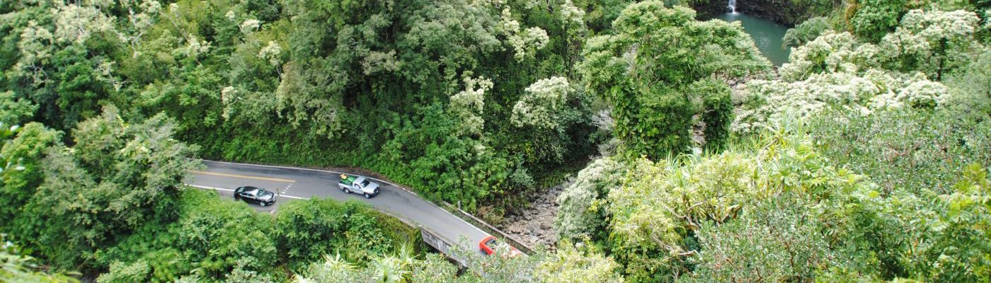 Der neue Stefan auf der Road to Hana auf Maui, Hawaii
