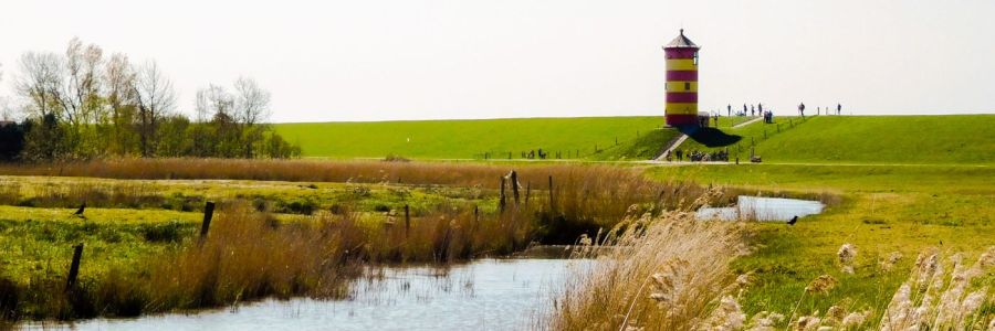 Der neue Stefan in Ostfriesland