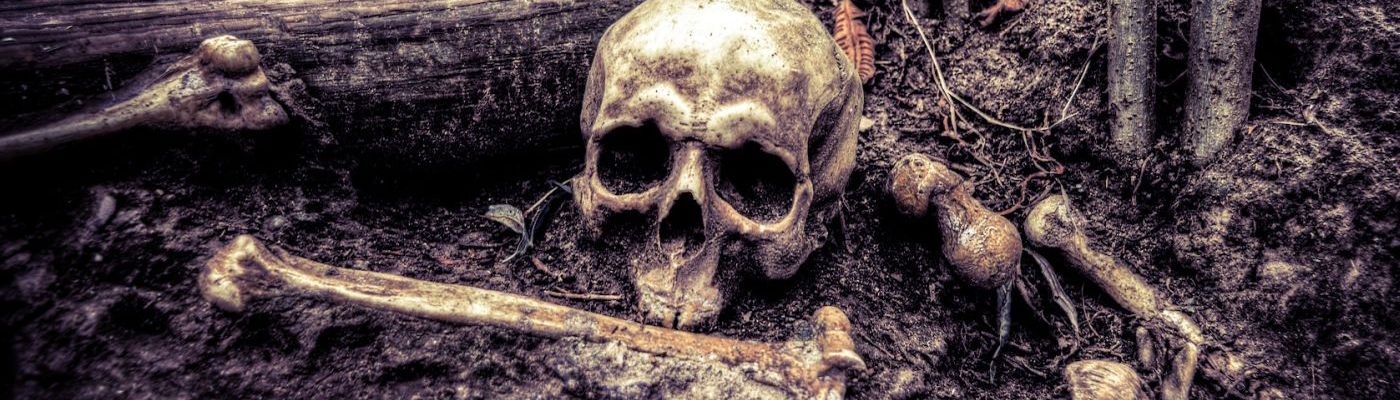 Totenschädel und Knochenteile im Wald auf dem schlammigen Boden.