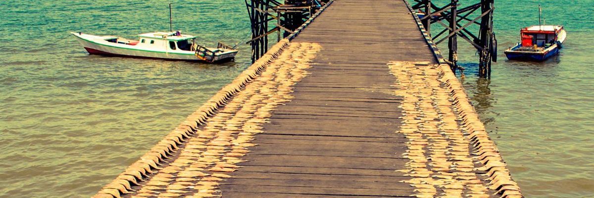 Blick auf einen Steg am Meer mit unzähligen Fischen zum Trocknen