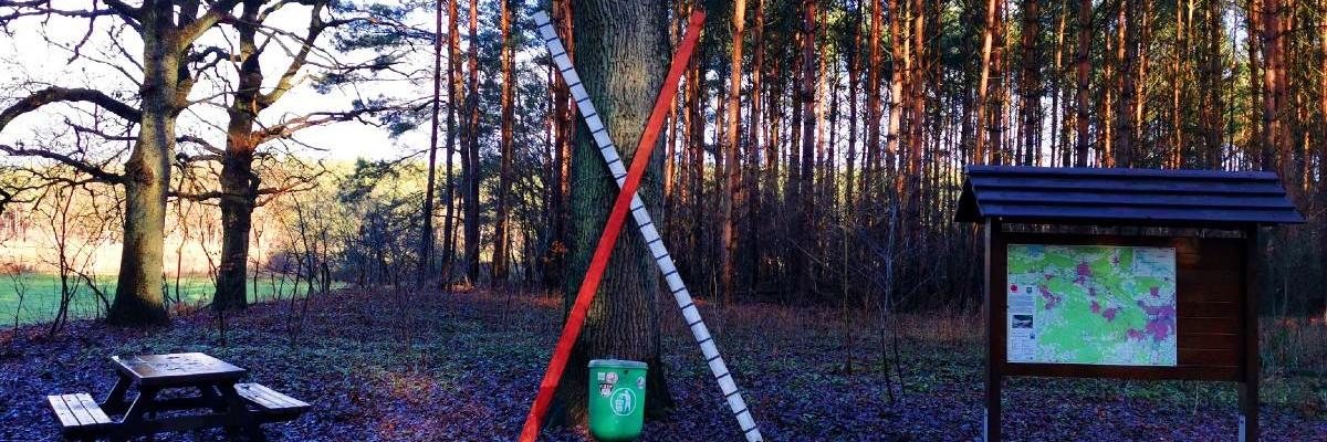 Holzkreuz im Wald als Protest gegen eine Bahntrasse.
