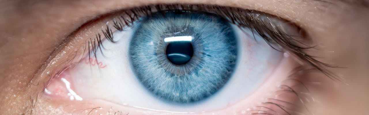 Nahaufnahme eines blauen Auges.